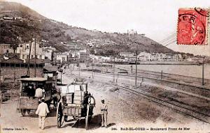 1604- Alger - Bab-el-Oued - Le Bd Front de mer